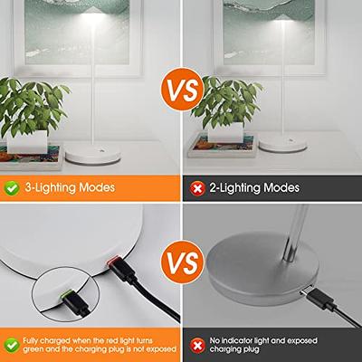 LED Desk Lamp Cordless Table Light, Rechargeable Battery Powered USB  Charging Port 3 Levels Brightness Dimmable for Outdoor Modern Hotel  Restaurant Dining Bedroom Study Portable Lights (Silver) 