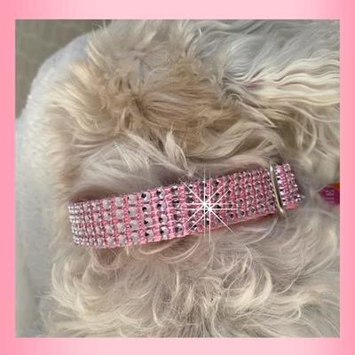 Designer Pink Rhinestone Bling Jeweled Dog Collar Gift