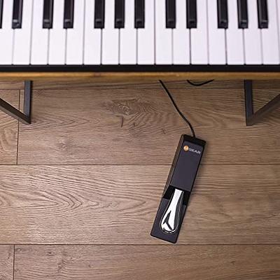 M-Audio SP-2 | Universal Sustain Pedal with Piano Style Action for Electronic