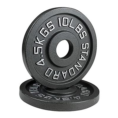 Cast Iron Olympic Weight Plates - Hammertone Finish