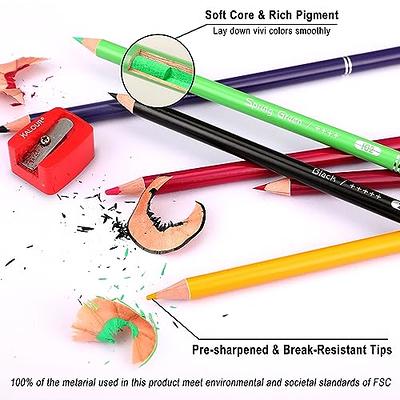 Premium 72 Colored Pencil Set - Includes Pencil Organizer, Travel Case,  Pencil Sharpener, Mini Coloring Book, and Gift Box