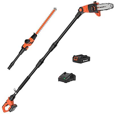 SOYUS 2 in 1 Cordless Pole Saw & Mini Chainsaw,20V 19Ft/s Battery