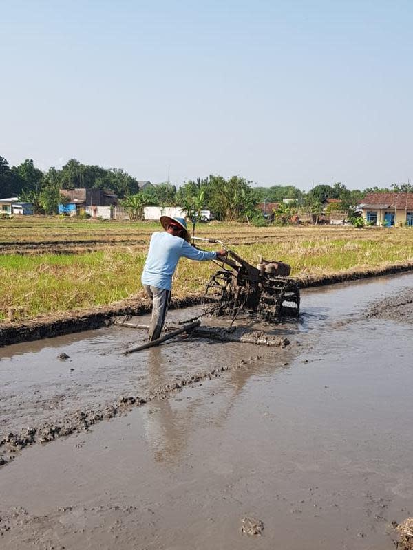 Petani Milenial Pematang Sikek Terapkan Pertanian  Berbasis 