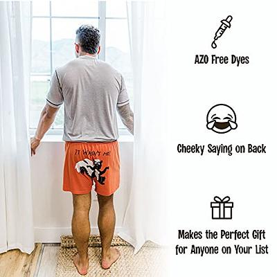 Lazy One Funny Animal Boxer Briefs for Men, Underwear for Men