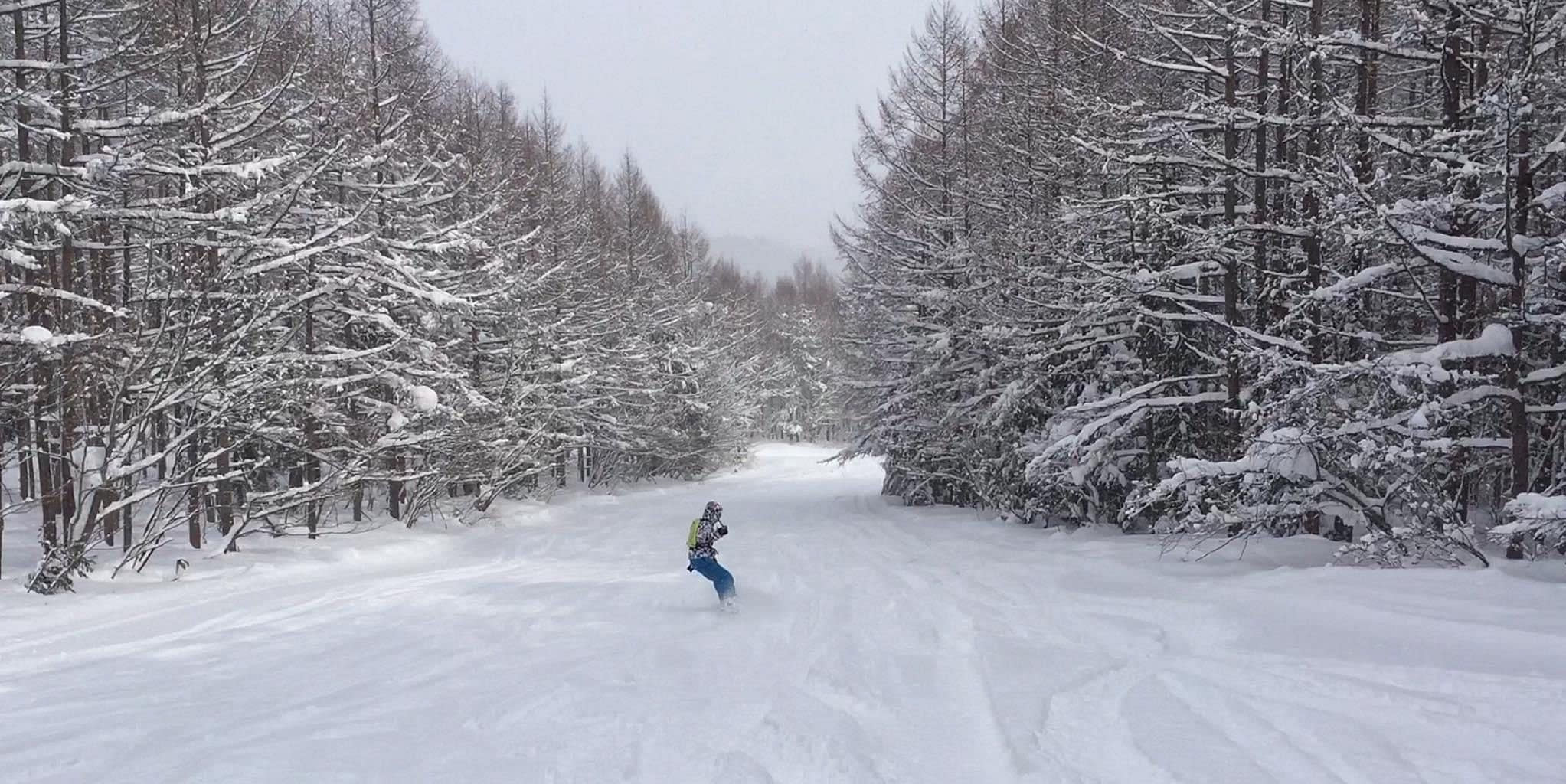 平價優質雪衣首選!!