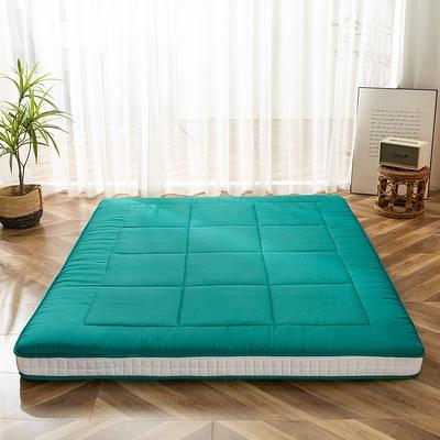 Futon Mattress, Padded Japanese Floor Mattress Quilted Bed Mattress Topper,  Extra Thick Folding Sleeping Pad, Green, Twin