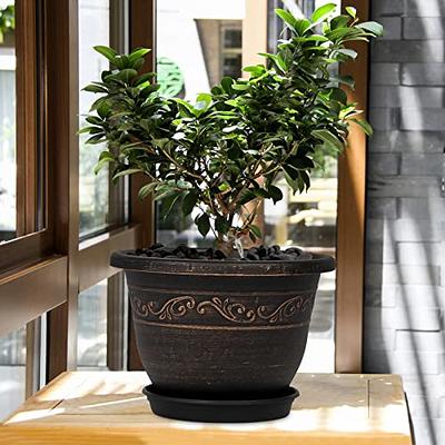 7 Inch Plant Pots, 6 Pack Flower Pots Indoor Outdoor, Decorative Planters  with Drainage Hole and Tray Saucer - Yahoo Shopping