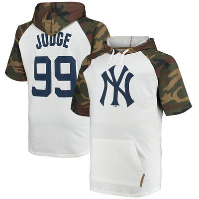 Nike Youth Nike Aaron Judge Heathered Gray New York Yankees Player