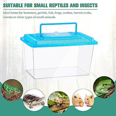 Spider Reptile Insect Feeding Box Reptile Breeding Box Terrarium Accessories  Insect Box For Spider Cricket Snail Tarantula