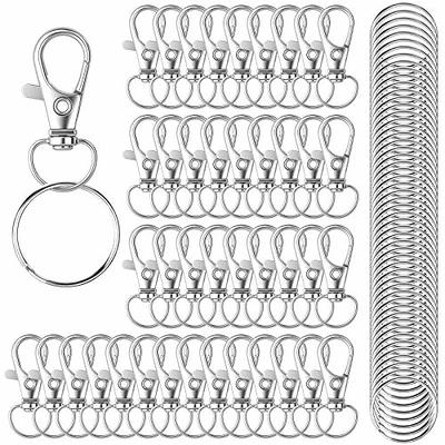 Keychain Key Chain Rings Clips Swivel Bulk (10 Sets, Sliver), Swivel  Lanyard Snap Hooks with Rings, Small Lobster Claw Clasp, for Keychain  Crafts