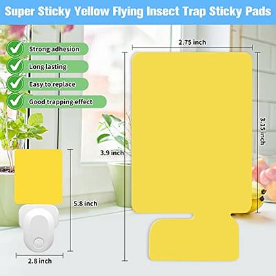 Indoor Fly Traps | Clear Window Fly Traps for Home | for Houseflies, Gnats,  Moths, and Spiders | Easy to Use, Easy to Dispose