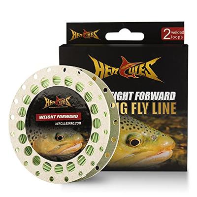 Maxcatch ECO Floating Fly Fishing Line Weight Forward Design with Welded  Loop (1F,2F,3F,4F,5F,6F,7F,8F) : : Sports & Outdoors