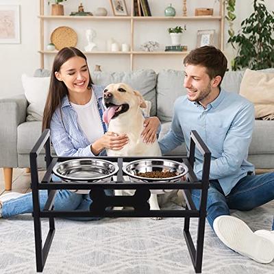 2 Pack Elevated Dog Bowls Raised Dog Bowls with 4 Stainless Steel