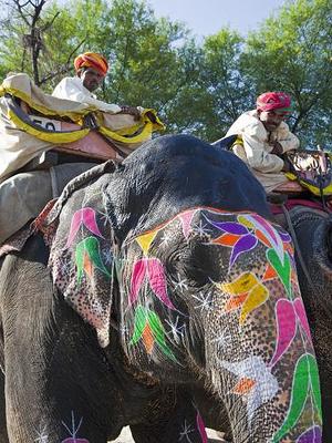 India Poster, Jaipur Poster, India Print, India Wall Art, Mahout