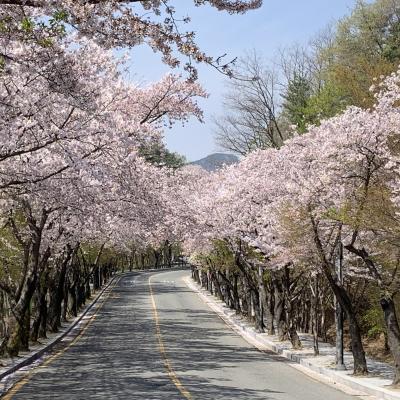 芸妹韓貨館