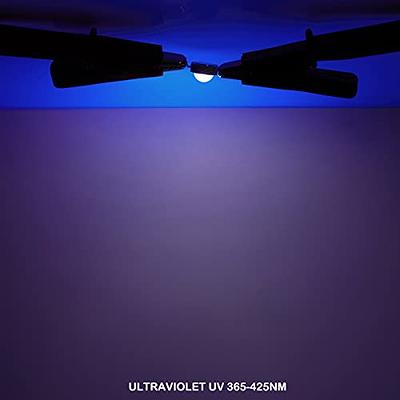 12V LED Diode 10mm, UV Violet