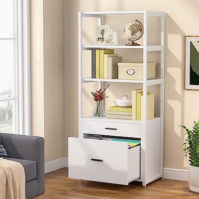 Tribesigns Bookcase Bookshelf, 4-Tier Modern File Cabinet with 2