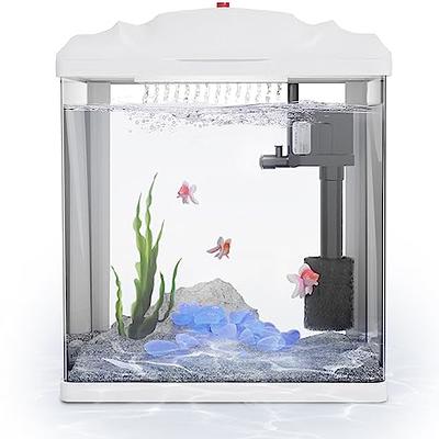 Penn Plax Radius Curved Corner Glass Aquarium Kit, 7.5 Gallon, Transparent  - Yahoo Shopping