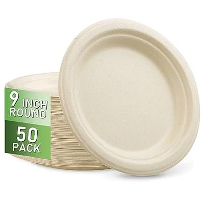 I00000 Heavy Duty 100% Compostable 10 Inch Paper Plates, 100 Pack