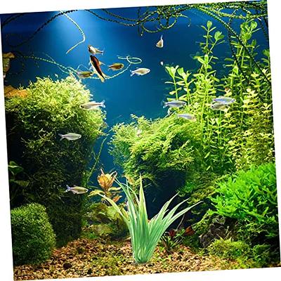 CORHAD 10pcs Aquarium Landscaping Aquarium Décor Plastic Plants Aquarium  Plants Live Water Aquarium Decor Landscape Aquarium Decor Aquatic Fish Tank  Grass Fish Plant Accessories Household - Yahoo Shopping