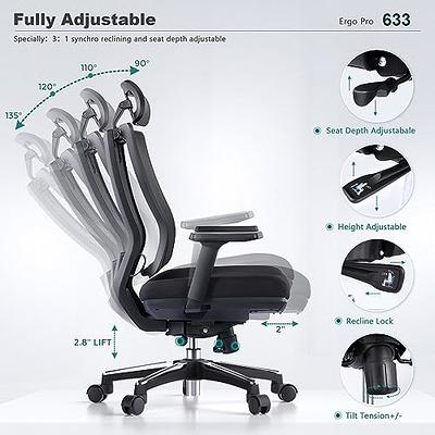 Ergonomic High-Back Mesh Office Chair with Footrest, Headrest, Lumbar  Support, and Armrests, Reclining Computer Desk Chair on Wheels for Home  Office Tasks, Blue 