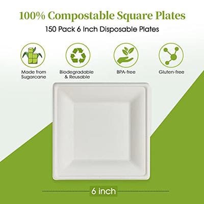 100% Compostable 6 inch Paper Plates, Heavy Duty Paper Plates