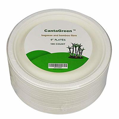 CantaGreen 6 inch Compostable Dessert Plates,100 Count Heavyduty