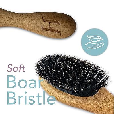100% Soft Boar Bristle Brush for Men and Women – Soft Bristles for Fine to  Mediu