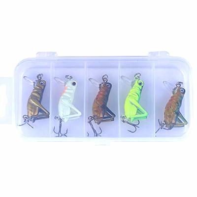 LURESMEOW 5pcs Cricket/Grasshopper Crankbait Fishing Lures,Bionic Mini Fishing  Lures,Fishing Hard Baits,Baits Topwater Lures for Freshwater and  Saltwater,Trout Bass Fishing Lures (1.38in/0.1oz/5pcs) - Yahoo Shopping