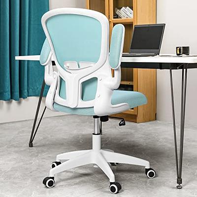 HOLLUDLE Ergonomic Office Chair with Foldable Backrest