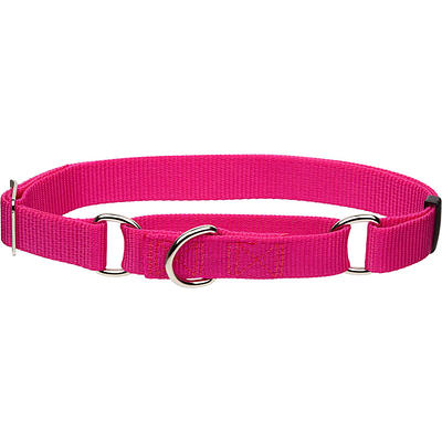 Coastal Pet Metal Buckle Nylon Personalized Dog Collar in Red, 3/4