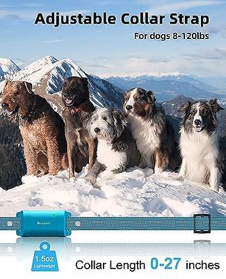 Bousnic Dog Shock Collar with Remote - [New Edition] 4000FT Dog Training  Collar for Large Medium Small Dogs (8-120lbs) Waterproof E Collar with  Beep, Vibration, Safe Shock - Yahoo Shopping