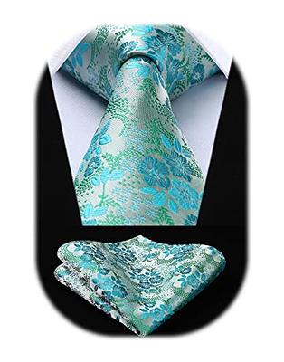 Classic Mens Necktie for Business Paisley Silk Tie with Tie Clip