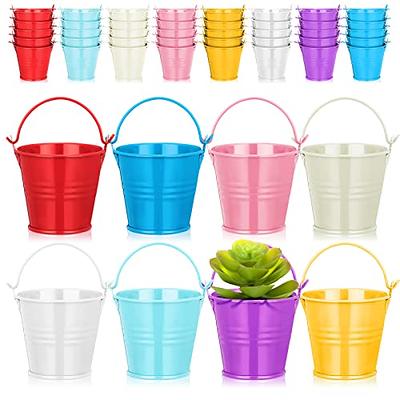 40 Pack Mini Metal Buckets with Handle Galvanized Bucket Small Tin