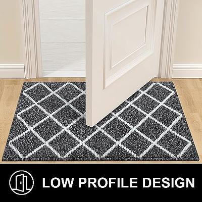 Indoor Entryway Mat