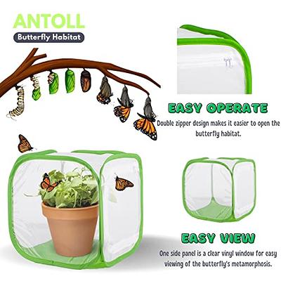 Antoll 3Pcs 12 S Size Green Butterfly Habitat Cage, Monarch Butterfly  Habitat, Butterfly Cage for Caterpillars, Flying Insect Mesh Cage, Outdoor  Observation Plant, Pop-Up Open Size: 12x12x12 - Yahoo Shopping