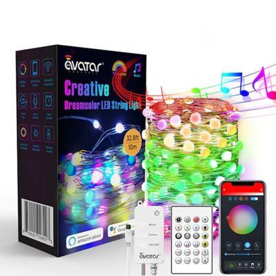 Avatar Controls Globe 32.8 ft. 66 LED Outdoor Dreamcolor Smart String Lights with IR Remote