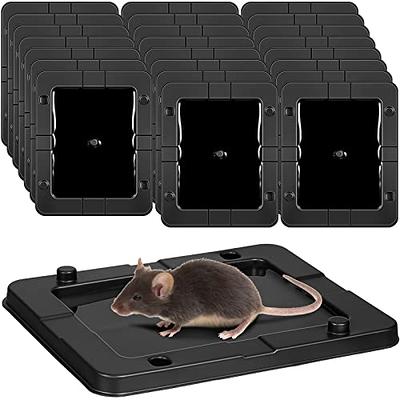 BLACK+DECKER Mouse Trap & Mouse Traps Indoor- 12 Pre-Baited Glue Traps &  Other