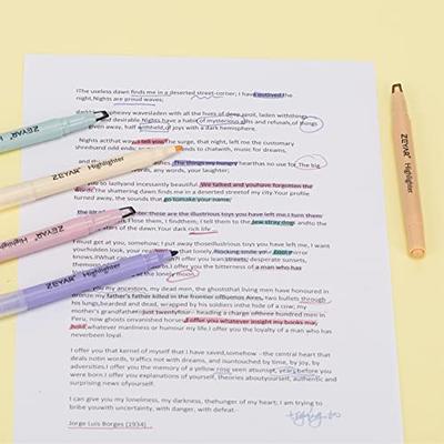 zeyar highlighters dual tips marker pen