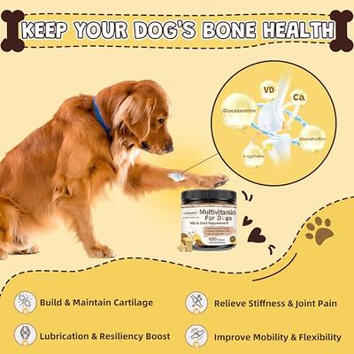 Dog Supplements & Vitamins