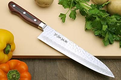 HexClad Chef's Knife, 8-Inch Japanses Damascus Stainless Steel Blade, Full  Tang Construction, Pakkawood Handle