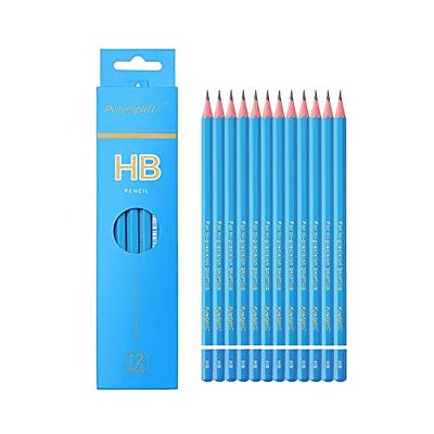 Drawing Pencils Set of 14 (B - 12B) Sketching Pencils for Drawing, Shading & Doodling | Professional Sketch Pencils Graphite Grades for Artists & Begi