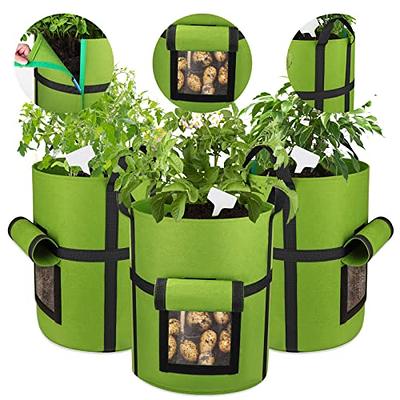 SCENGCLOS 6 Pack 10 Gallon Grow Bags, Sealed Visualization Window Planter  Bags, Breathable Thickened Non-Woven Fabric Plant Pots with Access Flap