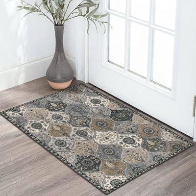  Lahome Floral Washable Indoor Rugs for Entryway - 2x3