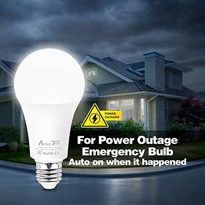 Best Emergency Lighting for a Power Outage: What to Buy