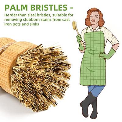 Dishwashing Palm Brush (2-Pack)