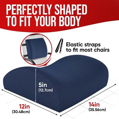 Fortem Seat Cushion and Lumbar Support