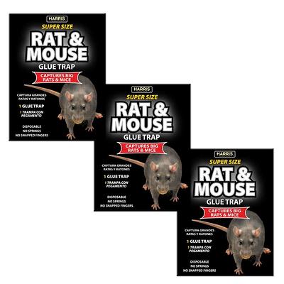 Harris Catch and Release Humane Mouse Trap and Rodent Repellent Spray Value Pack