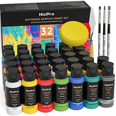 Transon Acrylic Paint Set 24-Color with 12 Paint Brushes and Palette Non-Toxic for Canvas Craft Rock Art Painting