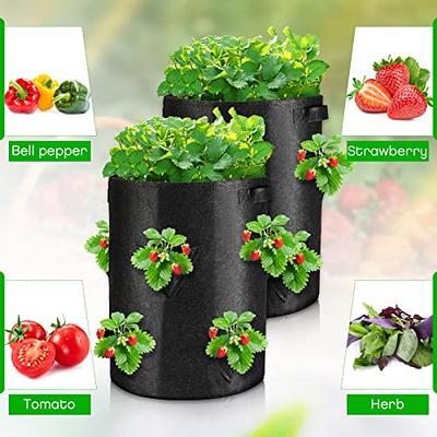  SCENGCLOS 6 Pack 10 Gallon Grow Bags, Sealed Visualization  Window Planter Bags, Breathable Thickened Non-Woven Fabric Plant Pots with  Access Flap, Garden Planting Bags for Grow Potato,Tomato,Carrot : Patio,  Lawn